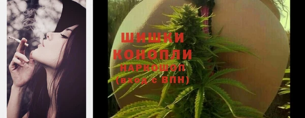 ГАЛЛЮЦИНОГЕННЫЕ ГРИБЫ Алзамай